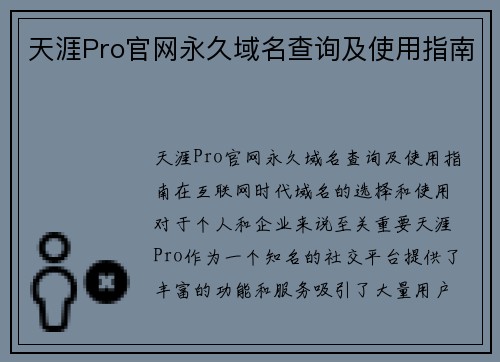 天涯Pro官网永久域名查询及使用指南 天涯Pro官网永久域名查询及使用指南